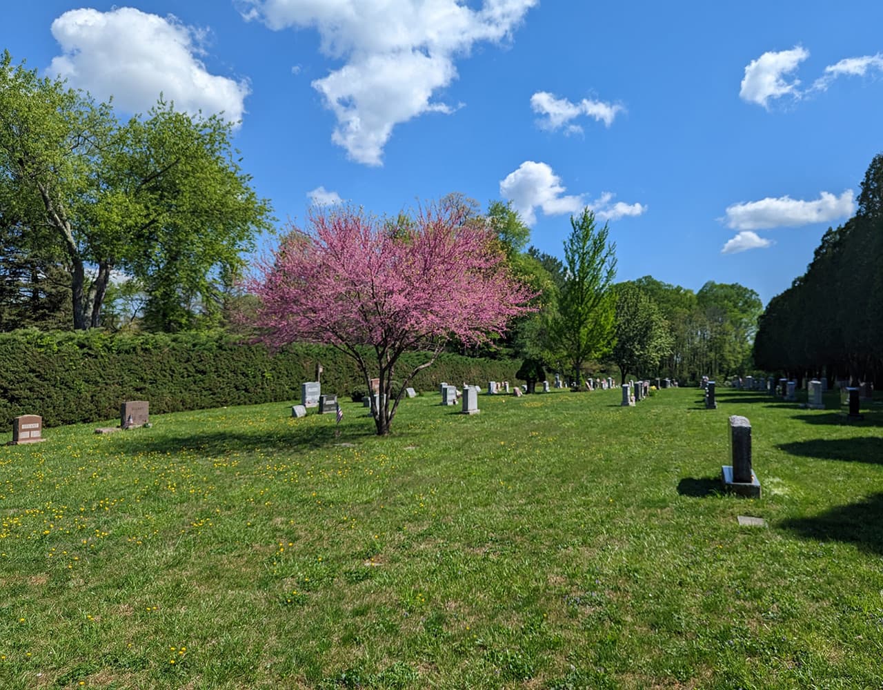 Slide 5 of cemetery gallery